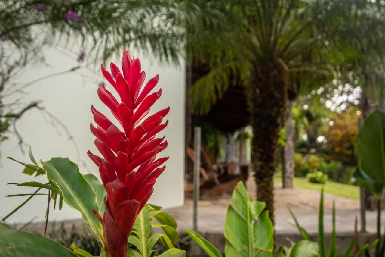 Vista Lago Arenal Piedras Экстерьер фото